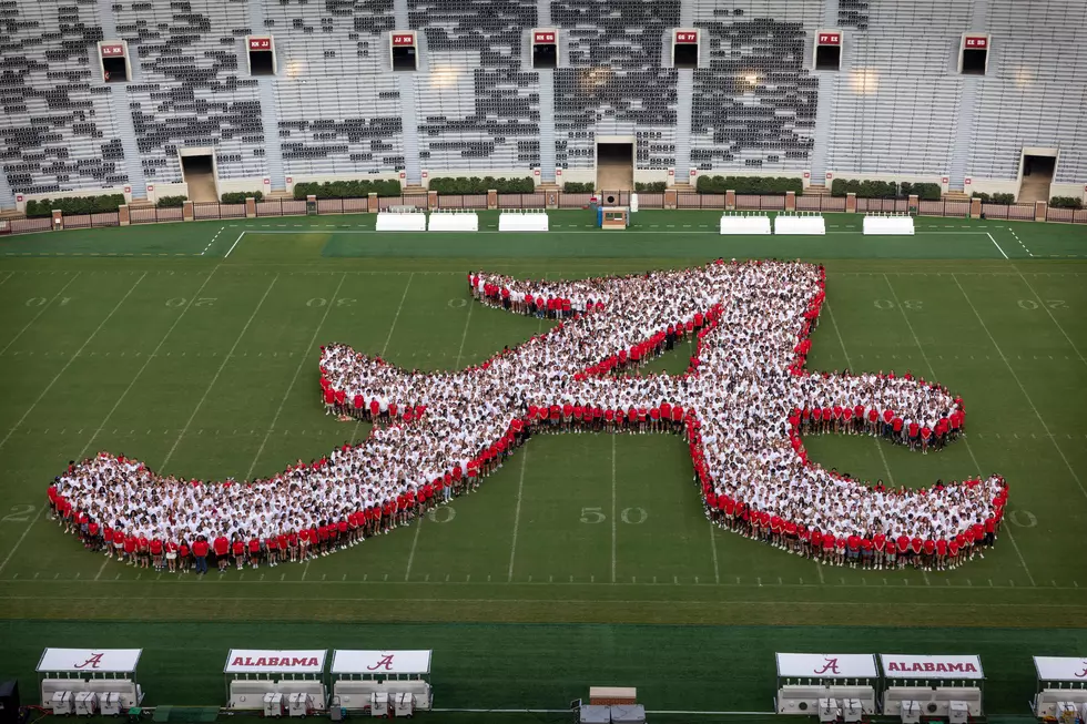 University of Alabama Once Again Sets Record, Enrolling Over 42,000 Students